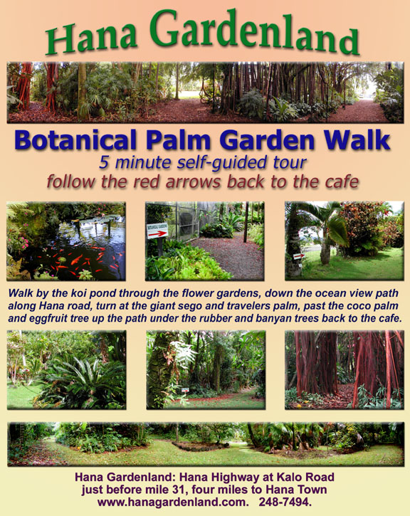 Palm Garden Walk